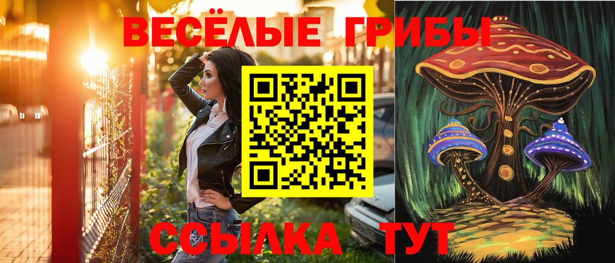 Псилоцибиновые грибы Magic Shrooms Каменск-Уральский
